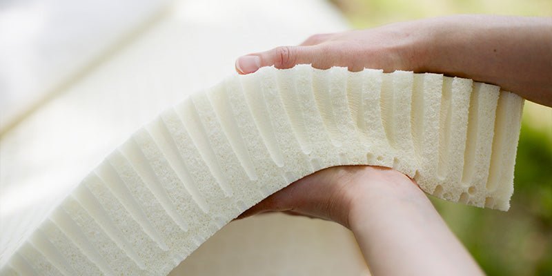 Natural Latex Collection - Pure Comfort & Sustainable Sleep