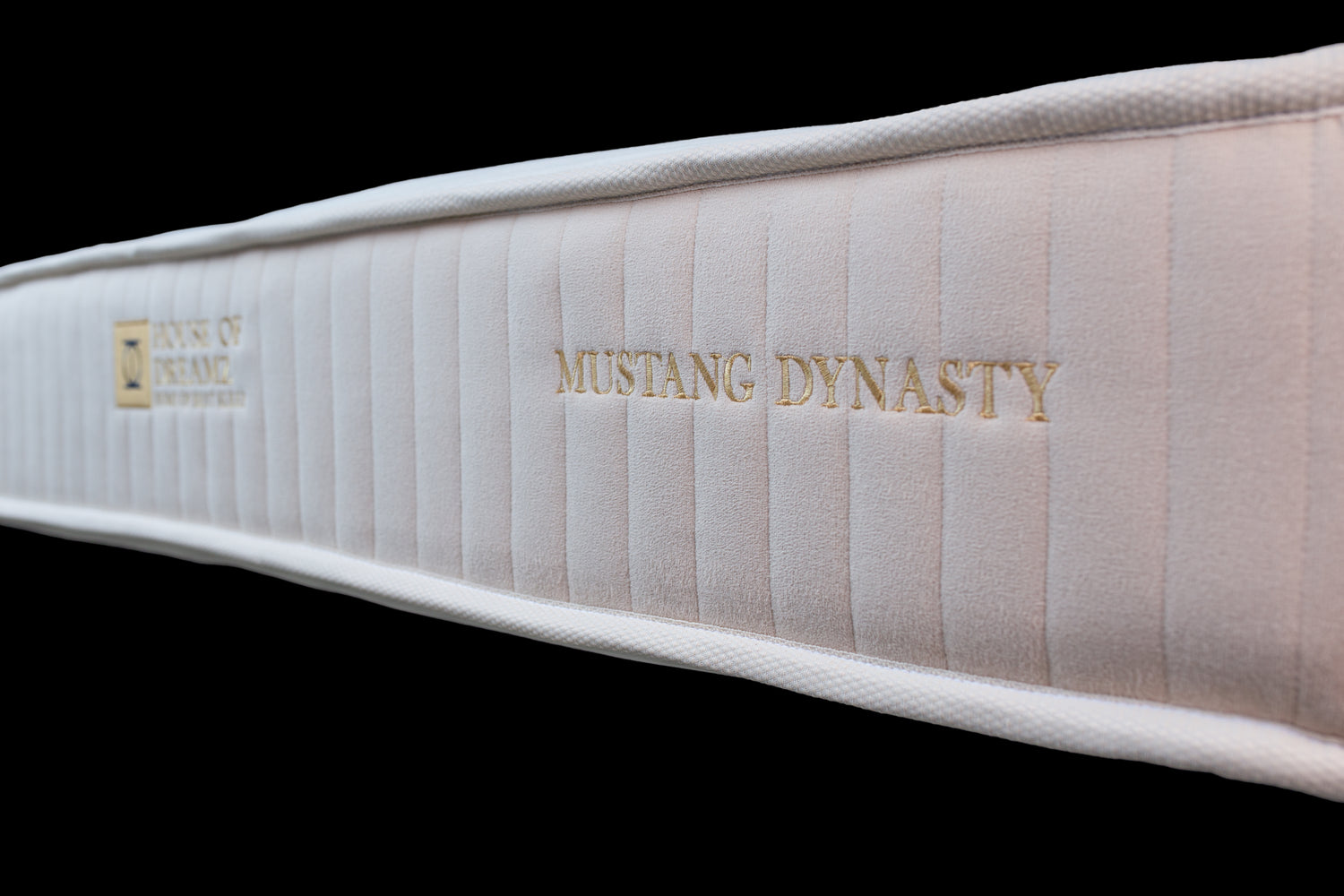 Not for everyone - MUSTANG DYNASTY